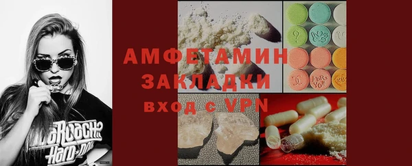 молекула духа Богородицк