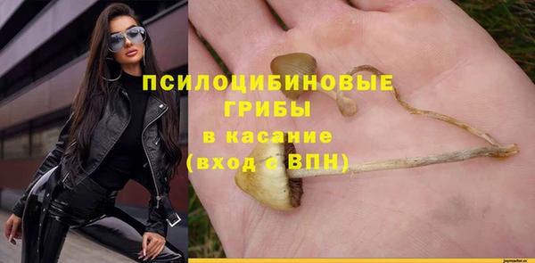 тгк Бугульма