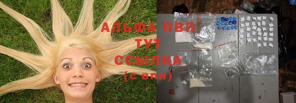 не бодяженный Бородино