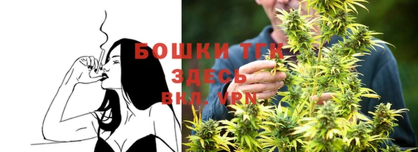не бодяженный Бородино